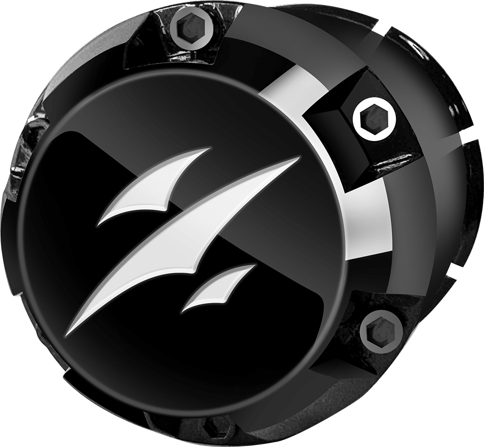 https://dealers.steelenggolfcart.com/wp-content/uploads/2023/09/CC0023-BEAST-Black-White-logo.png